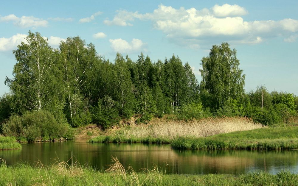 Фотография автора Nelya  Lysenko