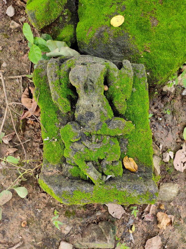 Jai Ganesha - Nature's Art