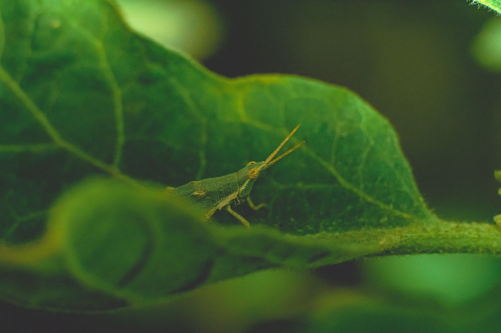 Photograph by Mutasim AL-Bulushi