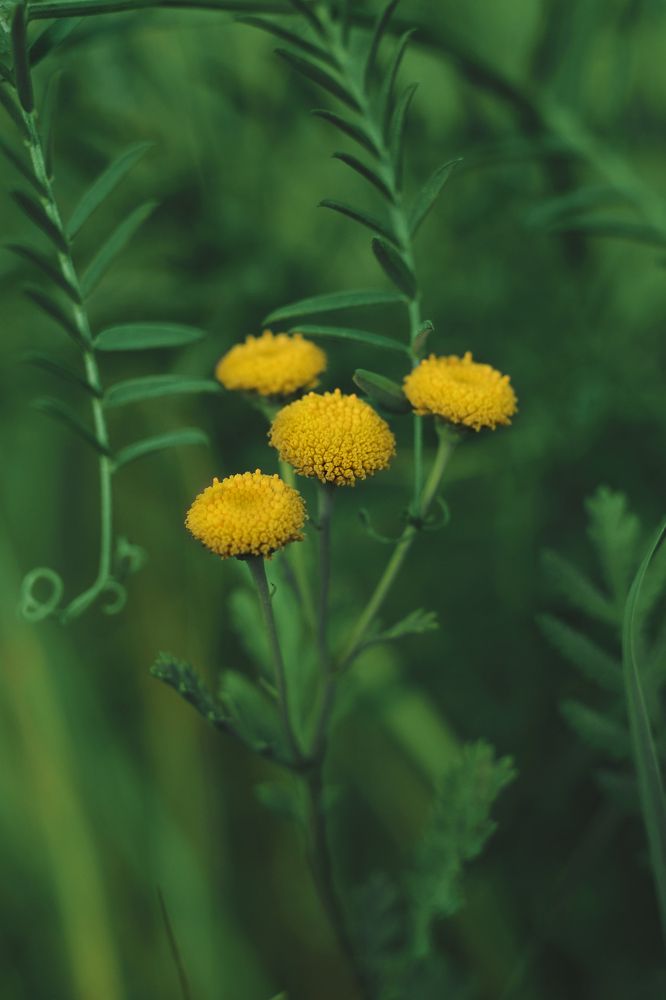 Photograph by Воинкова Ирина