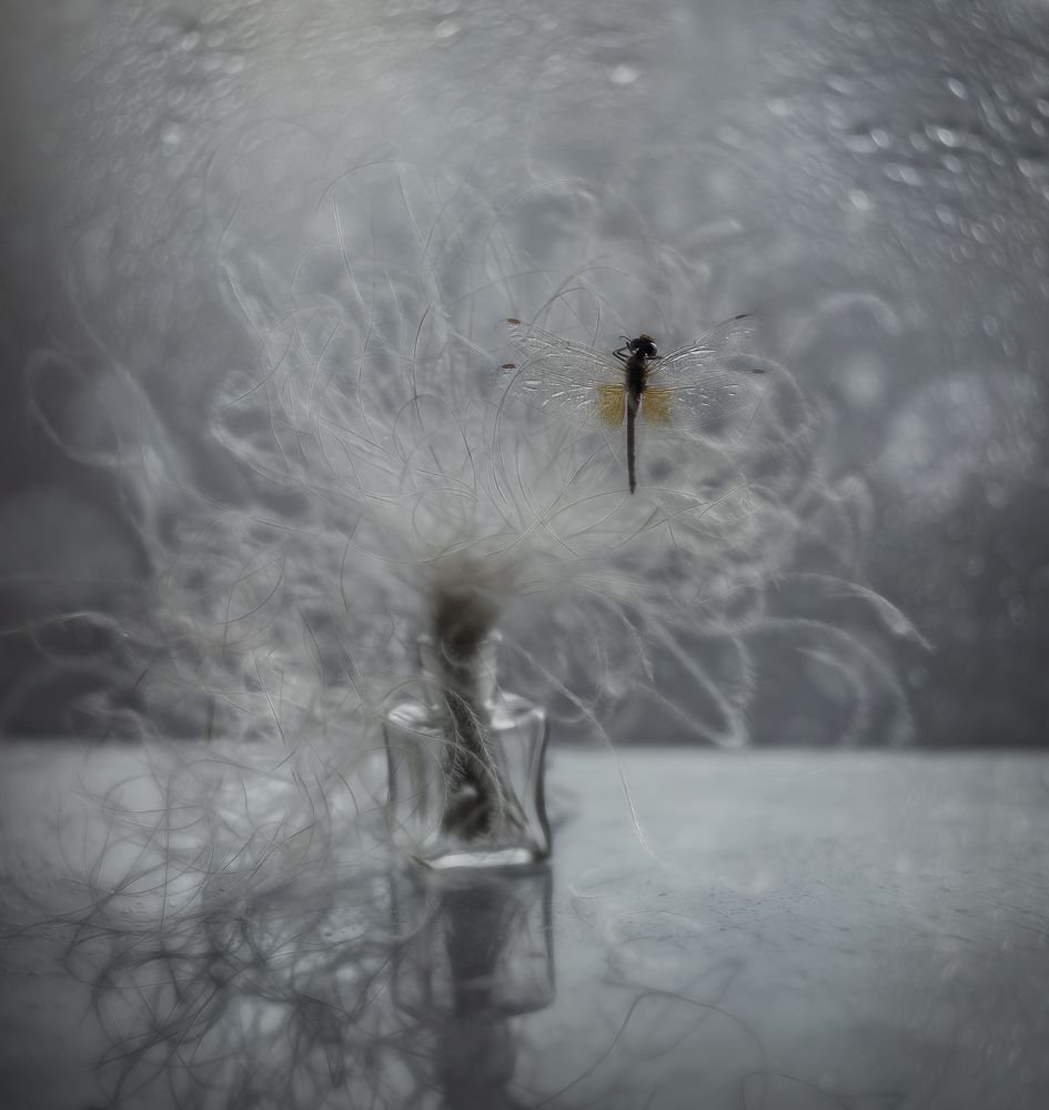 Photograph by Svoboda Andreeva