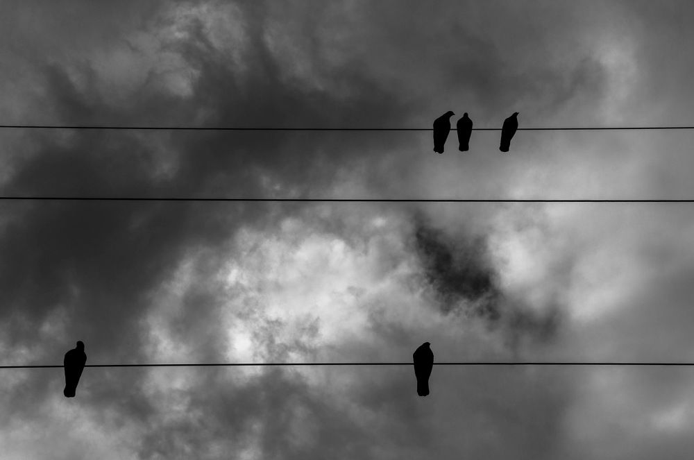 Photograph by Pegah Jafari