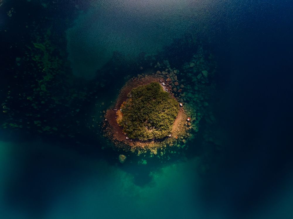 Tiny Island in a Tiny Lake