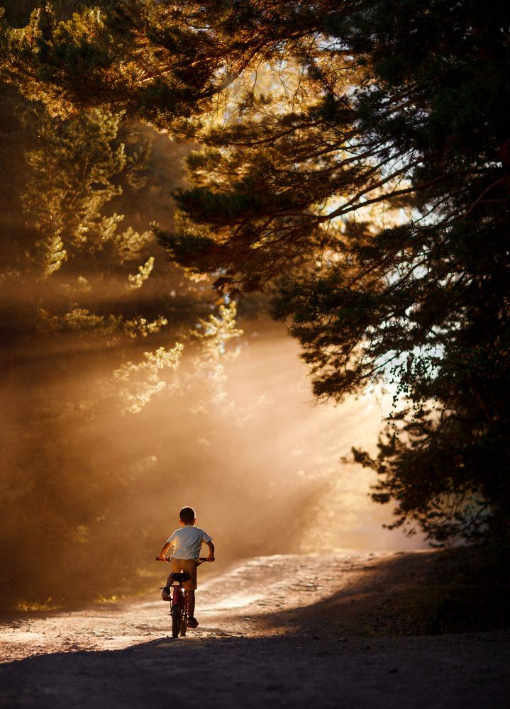 Стремление к свету