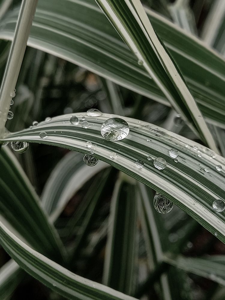 Photograph by Svetlana Yurasova