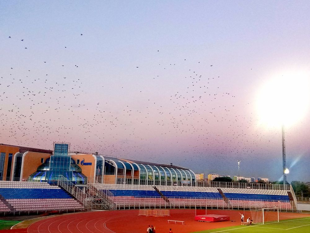 Photograph by Мария Опритова