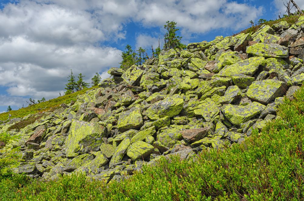 Photograph by Oleg Yashin