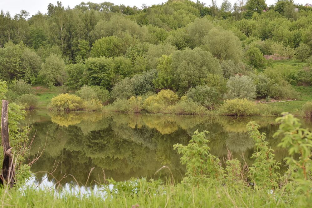 Photograph by Валентина Назина