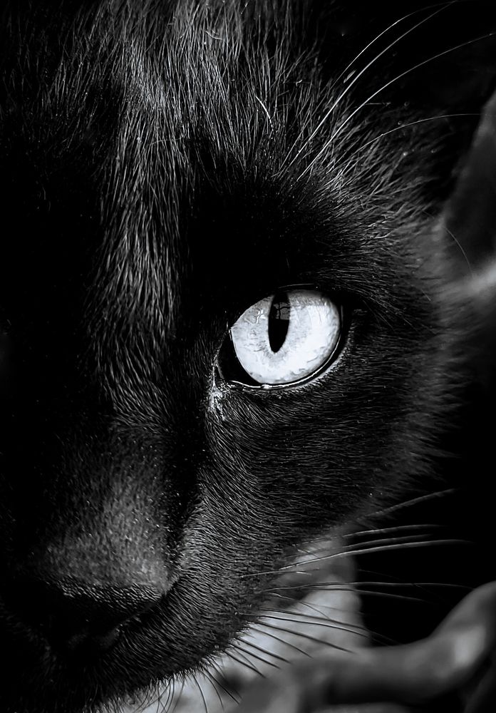 Фотография автора Mohammad Mohseni