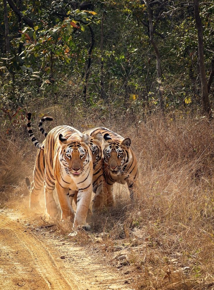 Photograph by 9503417795