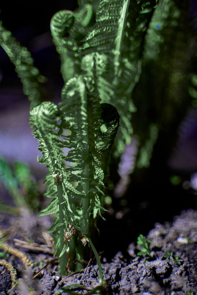 Photograph by Карина Полякова