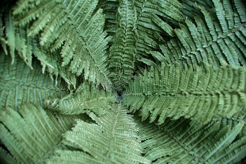 Photograph by Карина Полякова