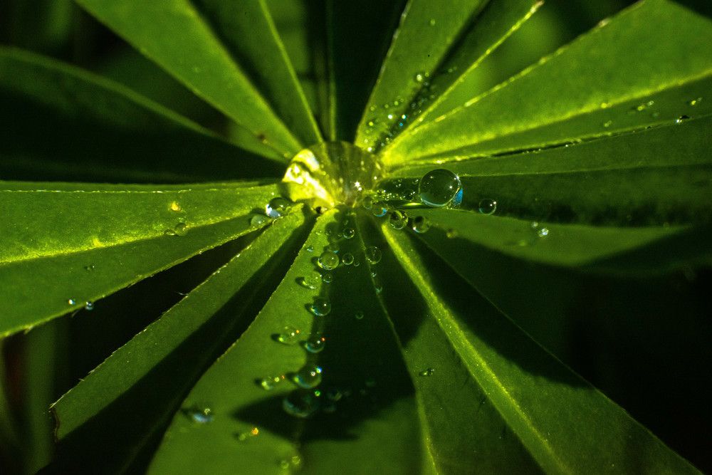 Фотография автора Aлексей Игнатьев