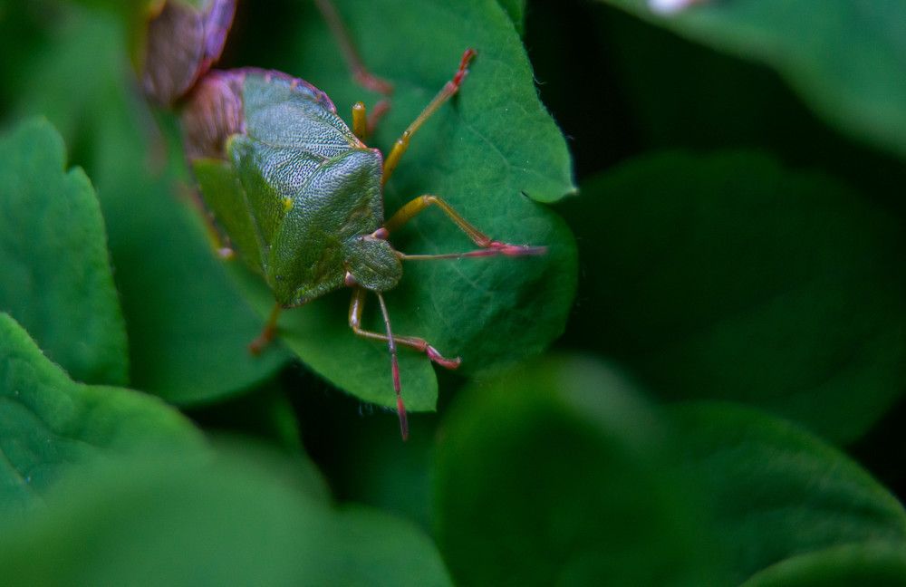 Фотография автора Aлексей Игнатьев
