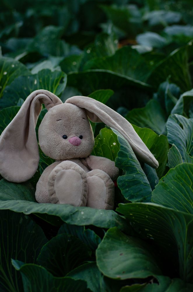 Photograph by Наталья Ульянова
