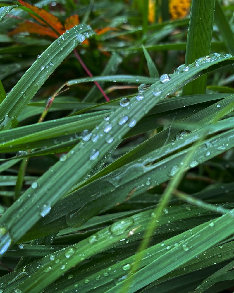 Photograph by Евгения Решетникова