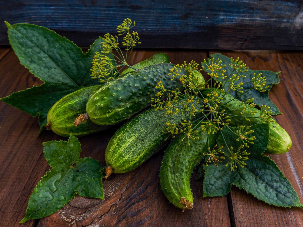 Photograph by Игорь Смирнов