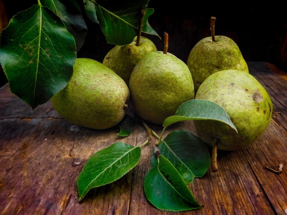 Photograph by Игорь Смирнов