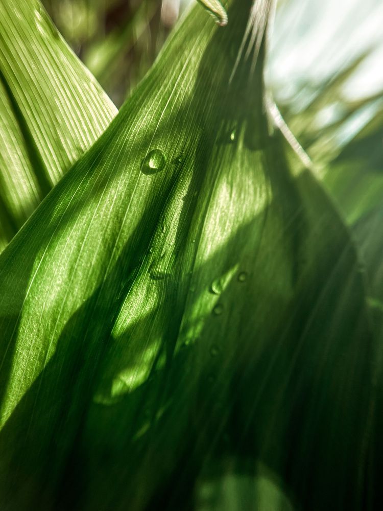 Photograph by Мария Королькова