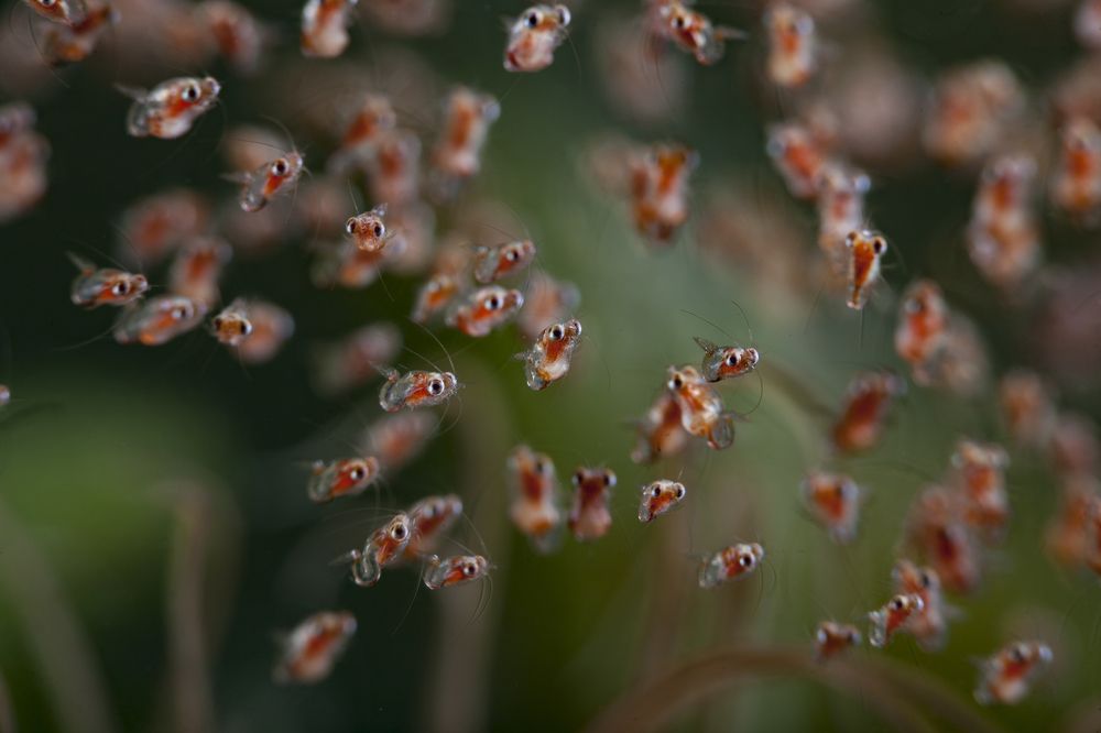 Photograph by Юрий Перевозников