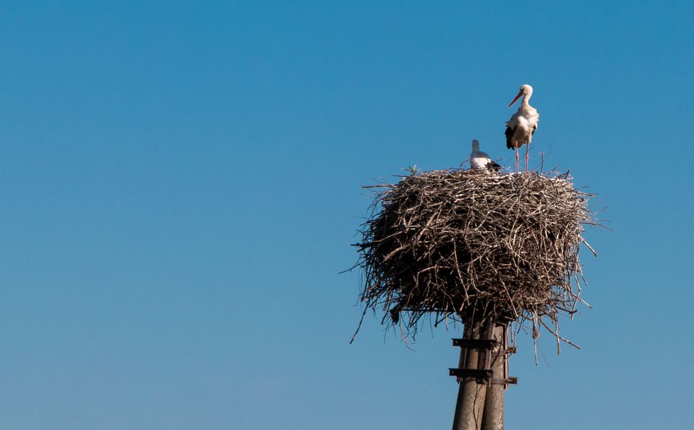 Photograph by Николай