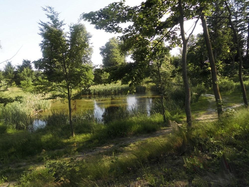 Photograph by Сергей Зиньковский