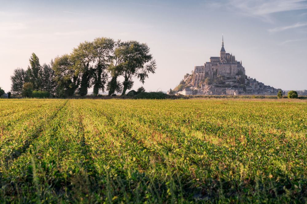 Photograph by Эрнест Вахеди