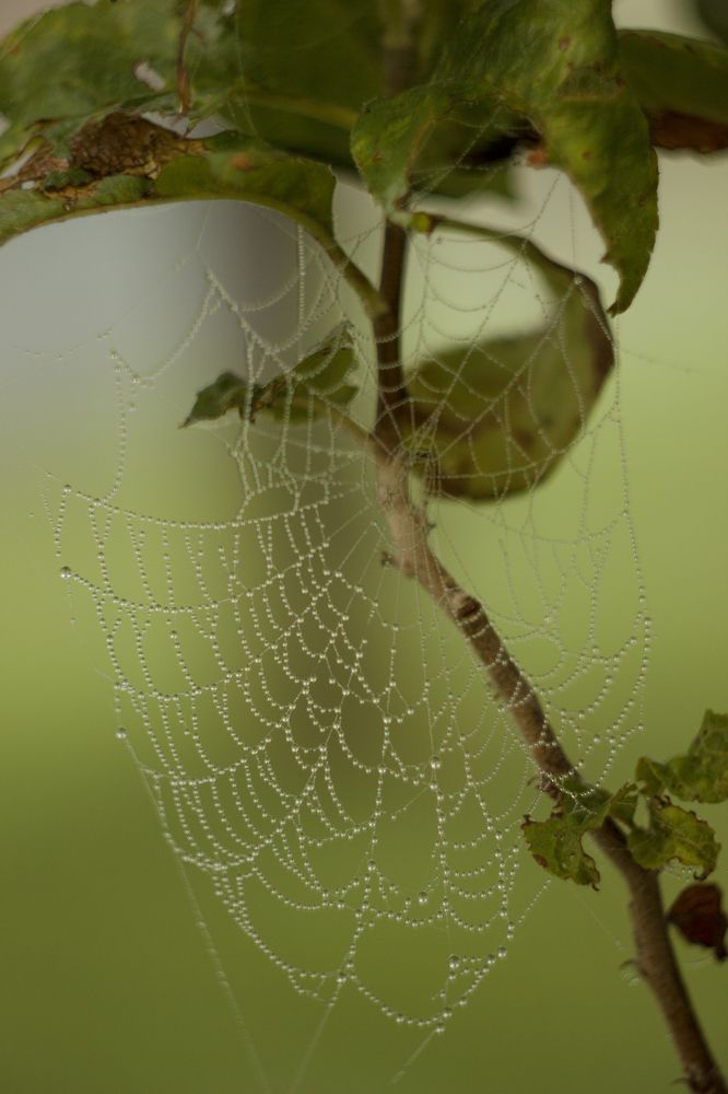 Photograph by Татьяна Бушук