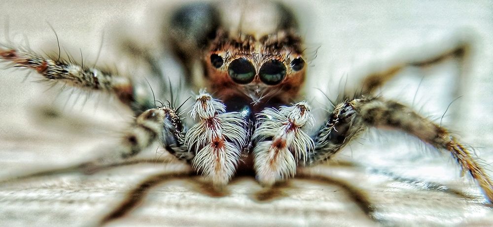 Фотография автора hakan mohammadi