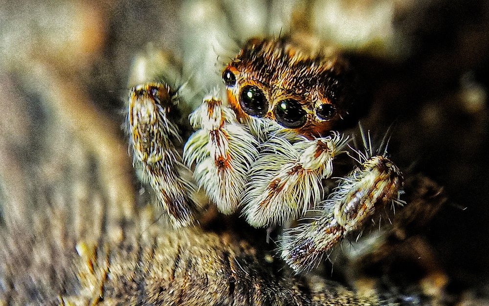 Фотография автора hakan mohammadi