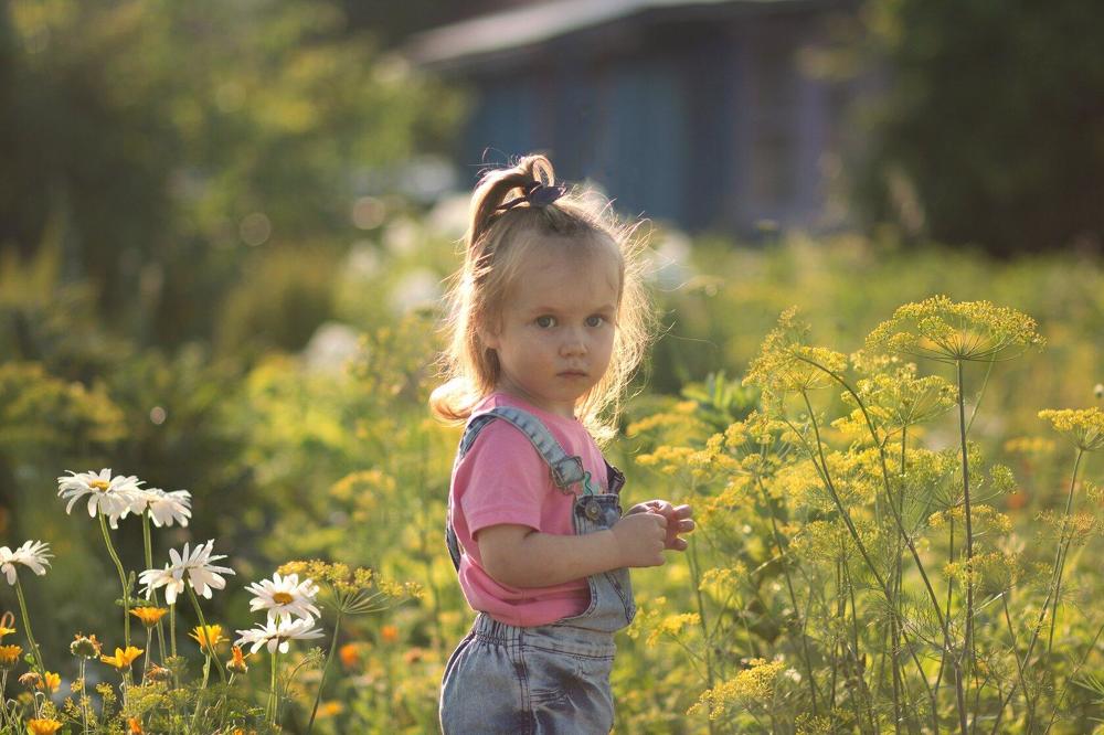 Photograph by Елена