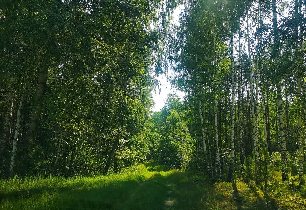 Photograph by Екатерина Кузьмина