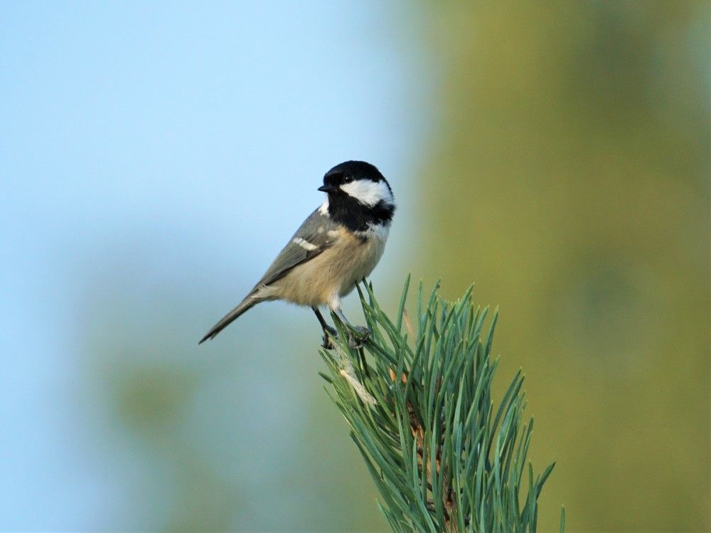 Photograph by Михаил Трусов