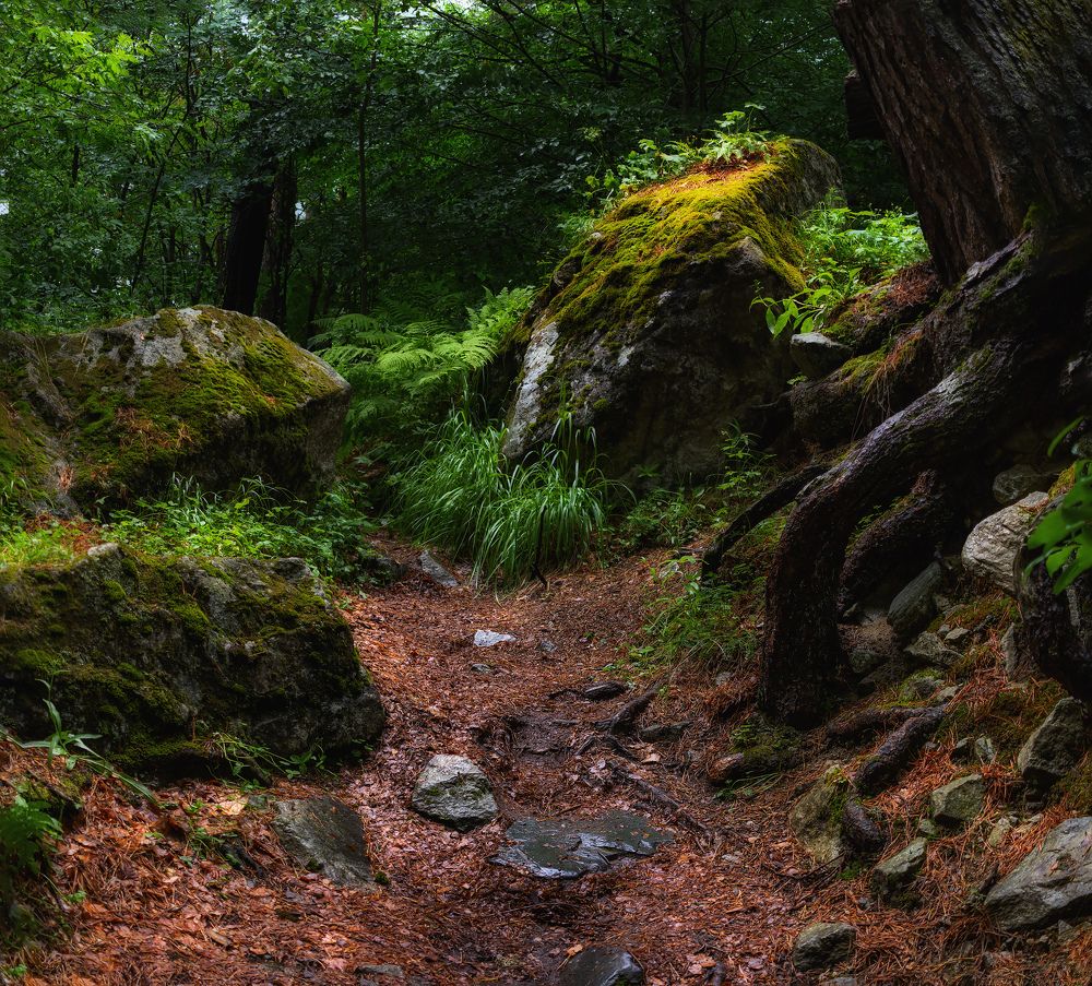 Photograph by Марина Кожевникова