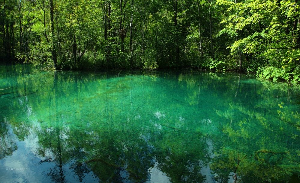 Photograph by Stoyan Baev