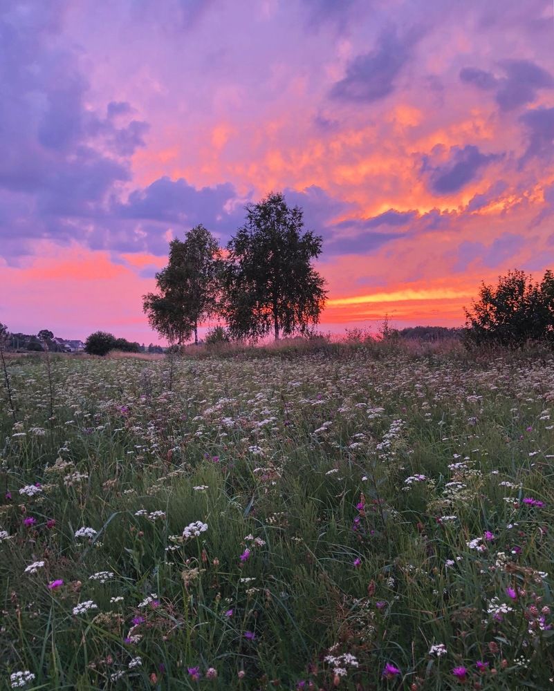 Photograph by Лариса Акинчиц