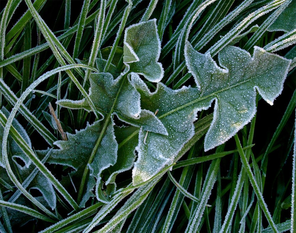 Photograph by Елена Харитонова