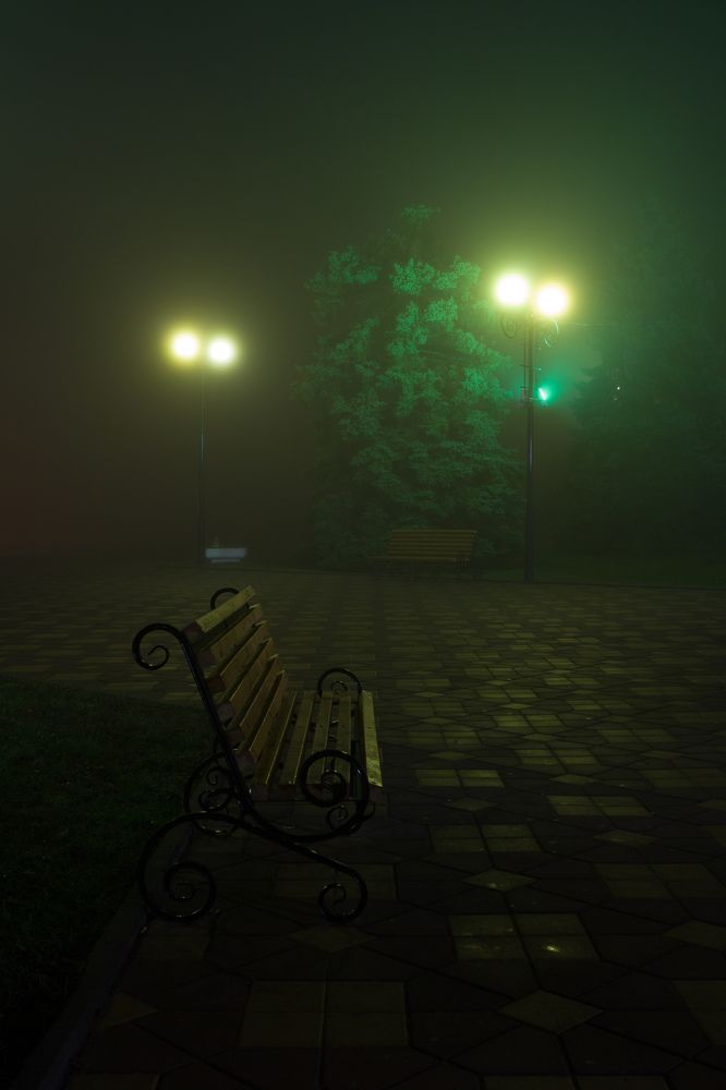 Photograph by Марина Кожевникова