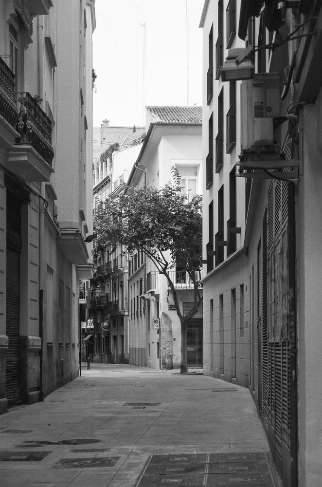 Photograph by Veronika Trubnikova