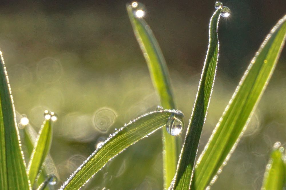 Photograph by Алфия Бугакова