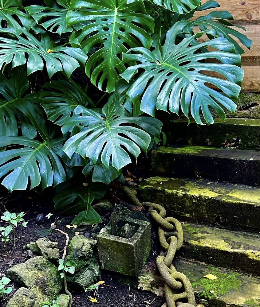 Photograph by Christine ECHEVET-ADAM de VILLIERS