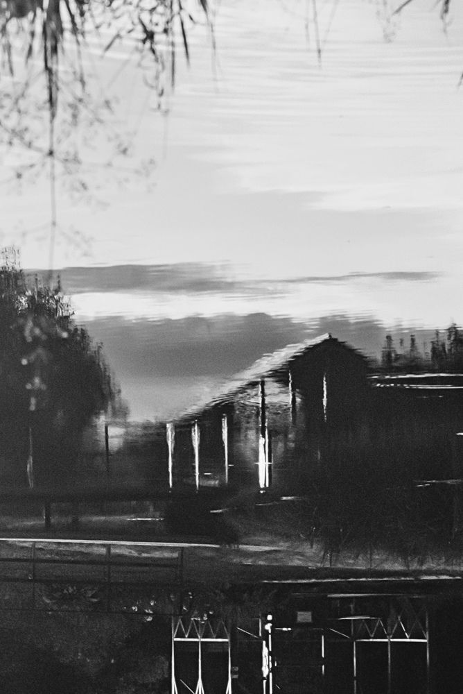 Photograph by Veronika Trubnikova