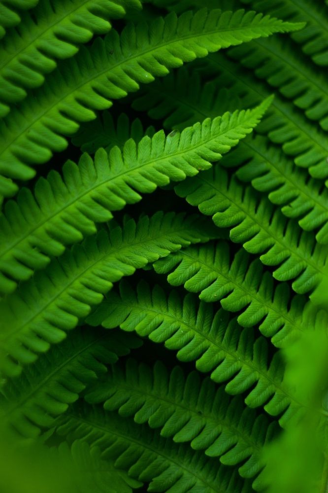 Photograph by Татьяна Юдина