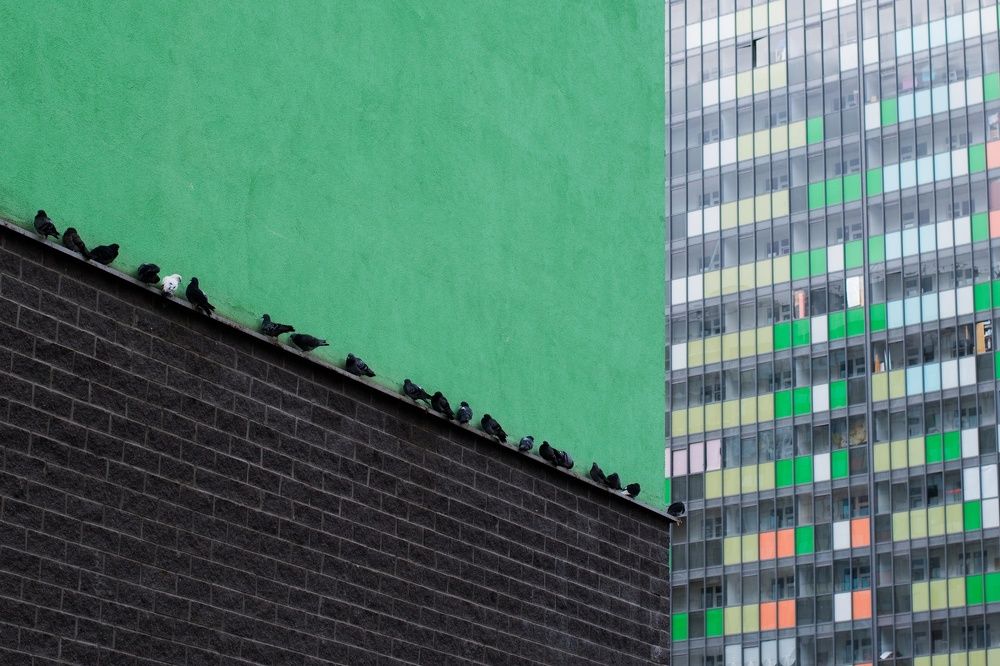 Photograph by Татьяна Юдина