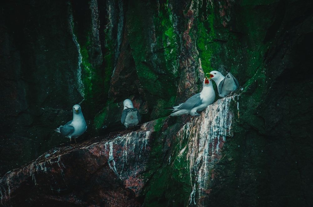 Приватная беседа