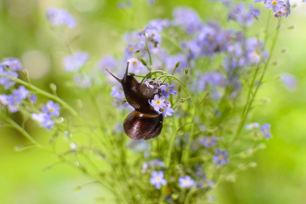Фотография автора Альбина Хвастунова