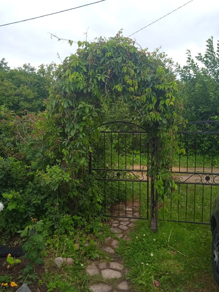 Сад в английском стиле