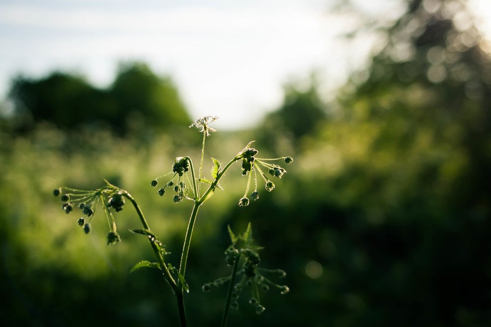 Photograph by Анастасия Кобелева