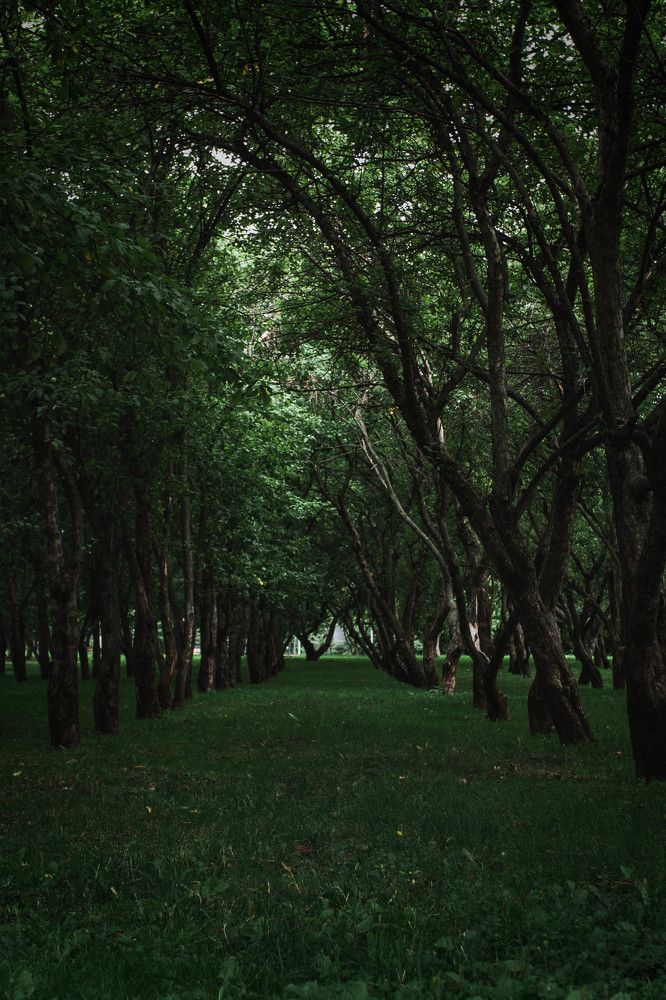 Photograph by Анастасия Кобелева