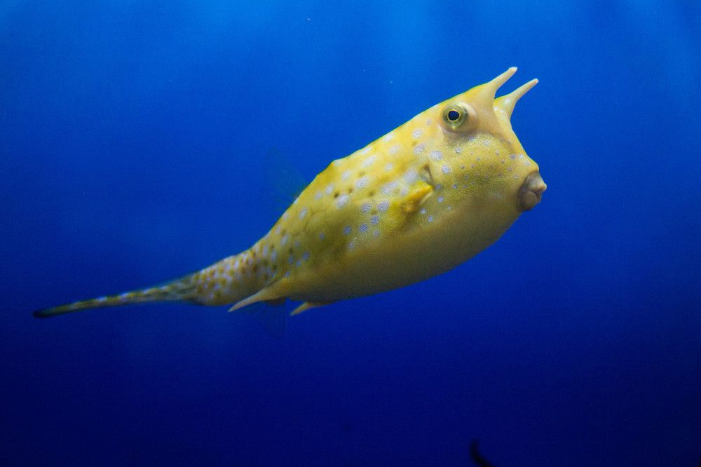 Photograph by Анастасия Кобелева